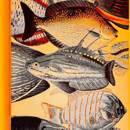 Apartamento Maria Ria *