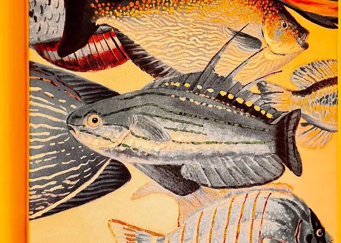 アパート Maria Ria *